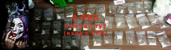 амф Липки